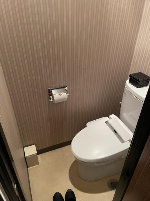 HOTEL  Style-A(新宿区/ラブホテル)の写真『502号室、トイレ』by かとう茨城47