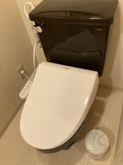グランドファイン京都南(京都市伏見区/ラブホテル)の写真『310号室　トイレ』by まさおJリーグカレーよ