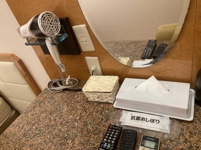 ファインガーデン十三(大阪市/ラブホテル)の写真『317号室　ドライヤー』by まさおJリーグカレーよ