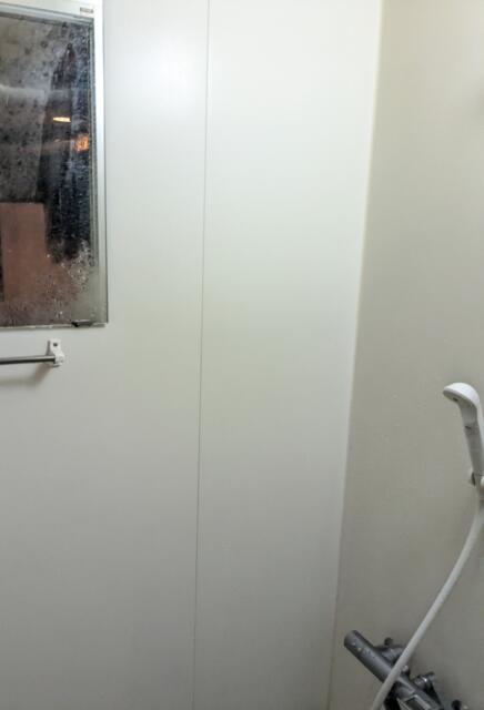 レンタルルーム フィジー(新宿区/ラブホテル)の写真『3号室　シャワールーム(キレイ)』by まっつんつん