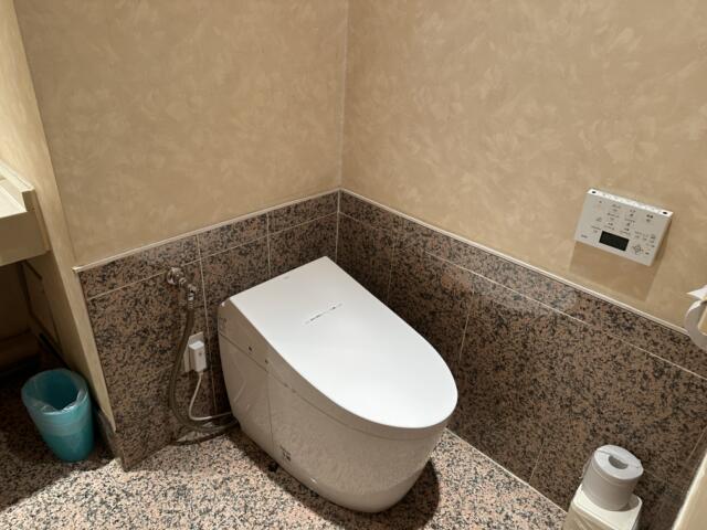 HOTEL The AMERICAN(アメリカン)(江戸川区/ラブホテル)の写真『502号室 トイレはオープンスタイル』by ネコシ