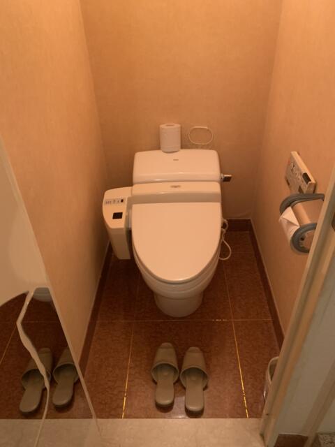 ＸＯ歌舞伎町(新宿区/ラブホテル)の写真『311号室　トイレ』by 東京都