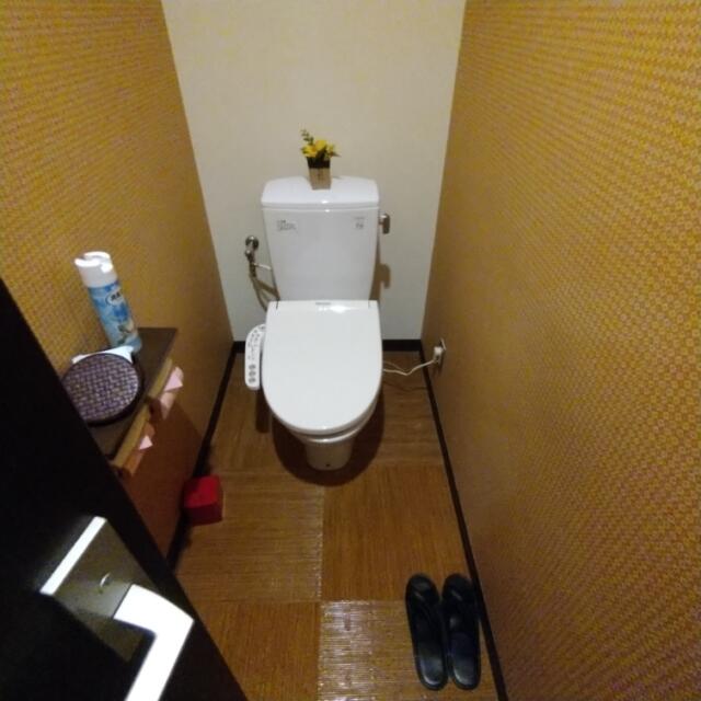 バニラリゾート本庄児玉(本庄市/ラブホテル)の写真『201号室、トイレ』by どらねこどらどら