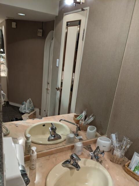 HOTEL GOLD LEAF（ゴールドリーフ）(神戸市中央区/ラブホテル)の写真『205号室 洗面』by きんてつ