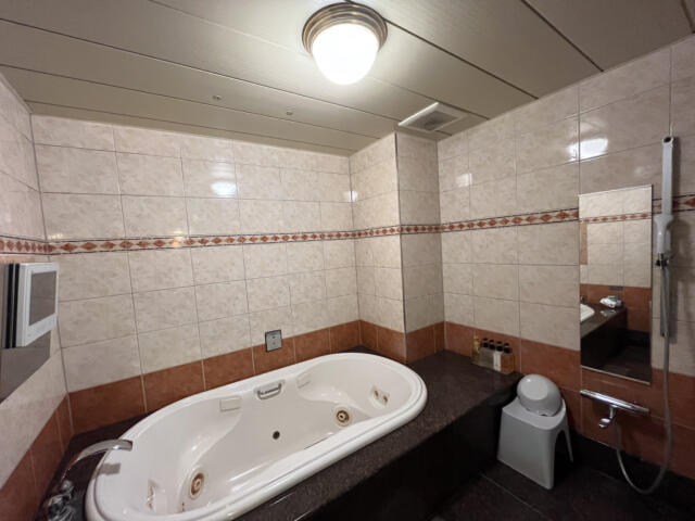 HOTEL RAY FIELD(墨田区/ラブホテル)の写真『506号室　浴室全景』by INA69