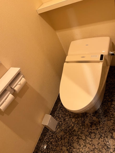 HOTEL RAY FIELD(墨田区/ラブホテル)の写真『506号室　トイレ』by INA69