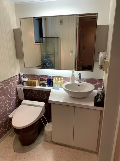 ＨOTEL Q(豊島区/ラブホテル)の写真『703号室　洗面台&amp;トイレ』by 東京都