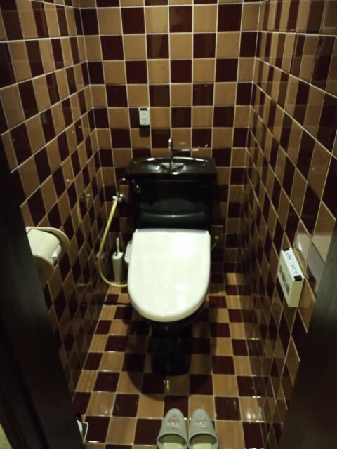 鹿鳴館(橿原市/ラブホテル)の写真『205号室 トイレ』by タンスにゴンゴン