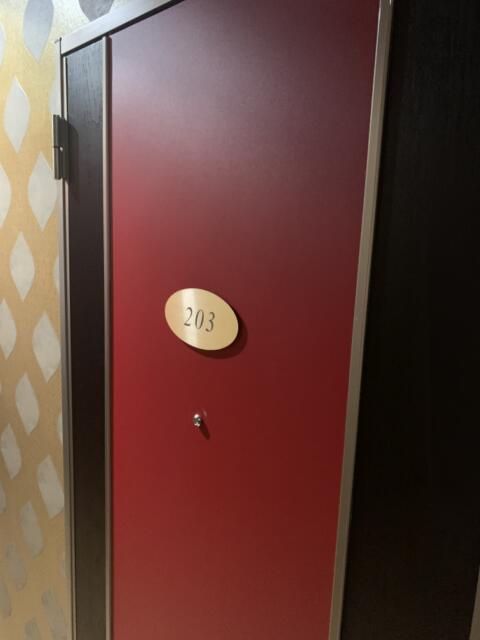 HOTEL Fine(ファイン)(新宿区/ラブホテル)の写真『203号室　部屋前』by 東京都