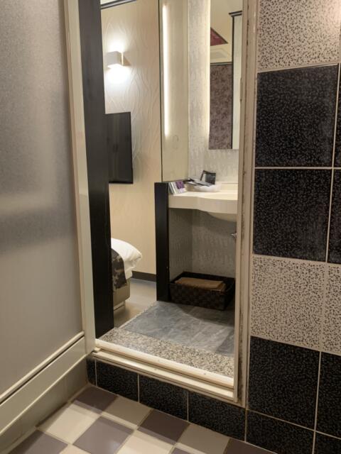 HOTEL Diana (ダイアナ)(台東区/ラブホテル)の写真『435号室　浴室から洗面台側を望む。』by 東京都