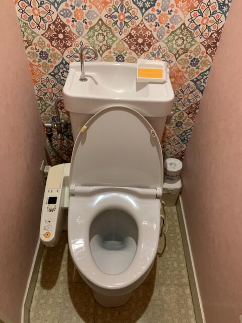 ホテル アテネ(柏市/ラブホテル)の写真『516号室　トイレ（蓋オープン時）』by 東京都