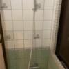 ホテル アテネ(柏市/ラブホテル)の写真『516号室　浴室シャワー』by 東京都
