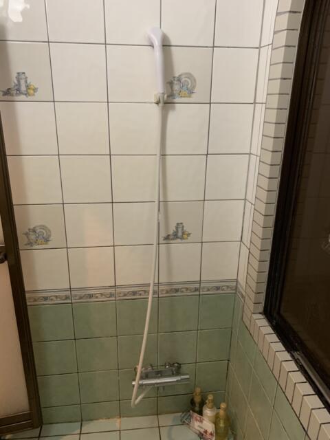 ホテル アテネ(柏市/ラブホテル)の写真『516号室　浴室シャワー』by 東京都