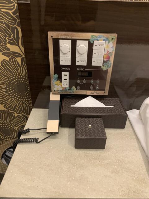 Hotel BaliBali(バリバリ)池袋(豊島区/ラブホテル)の写真『101号室　ベッド横調光操作盤など』by 東京都