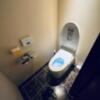 アペルト(豊島区/ラブホテル)の写真『705号室トイレ』by miffy.GTI