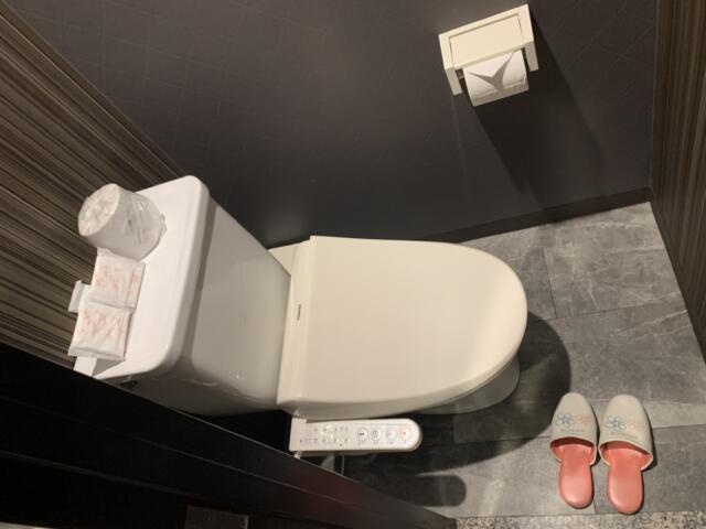 HOTEL Diana (ダイアナ)(台東区/ラブホテル)の写真『235号室　トイレ』by 東京都