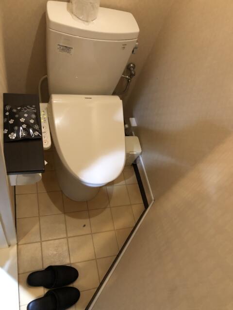 HOTEL アムール(台東区/ラブホテル)の写真『207号室　トイレ』by みこすりはん