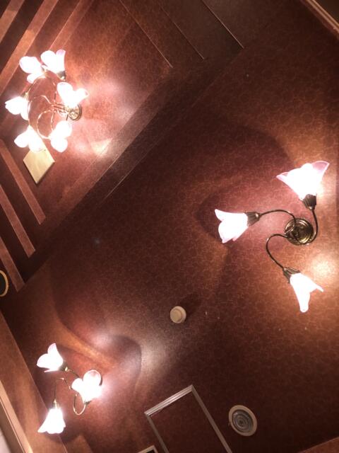 Hotel Sun Pearl（サンパール）(川越市/ラブホテル)の写真『207号室（６）室内照明』by サトナカ