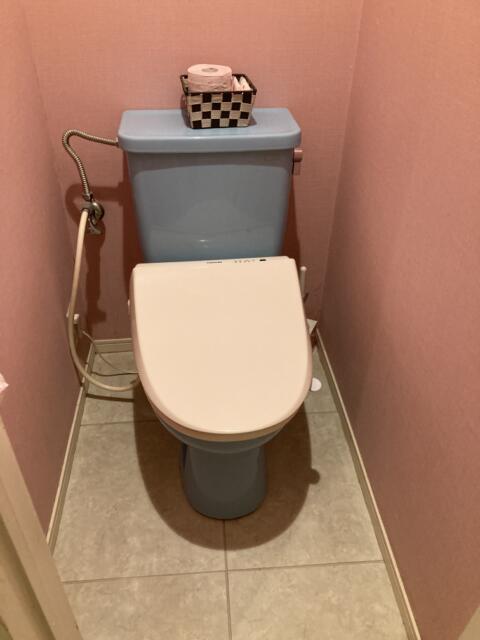 HOTEL leo 常磐町(レオ)(静岡市葵区/ラブホテル)の写真『403号室　トイレ』by まさおJリーグカレーよ