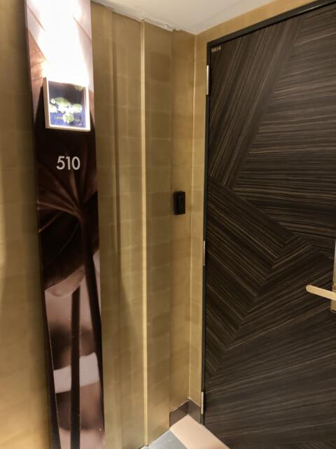 HOTEL SULATA渋谷道玄坂(渋谷区/ラブホテル)の写真『Bタイプ510号室入口』by 高梨サラサーティ