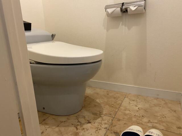 ホテル リンデン 湯島(文京区/ラブホテル)の写真『607号室　トイレ個室　生理ナプキンあり』by トマトなす