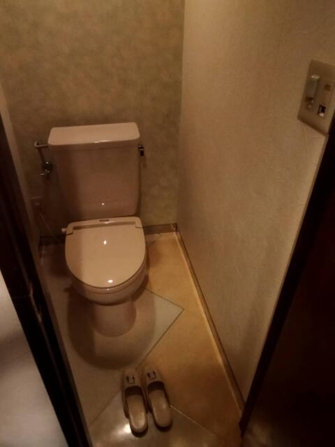 HOTEL 絆（きずな）(台東区/ラブホテル)の写真『406号室のトイレ』by Scofield