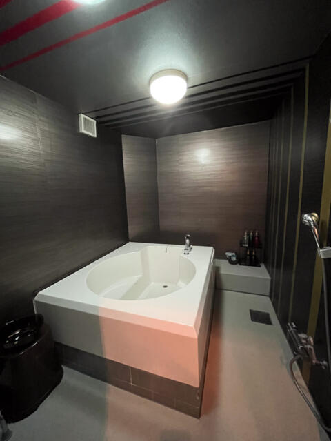 HOTEL EXE ANNEX(エグゼ アネックス)(台東区/ラブホテル)の写真『205号室　浴室全景』by INA69