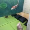 レンタルルーム　PRIME10room（プライムテンルーム）(新宿区/ラブホテル)の写真『4号室　ベッド』by hireidenton