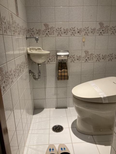 オリオン(立川市/ラブホテル)の写真『306号室　トイレ』by ワーカー