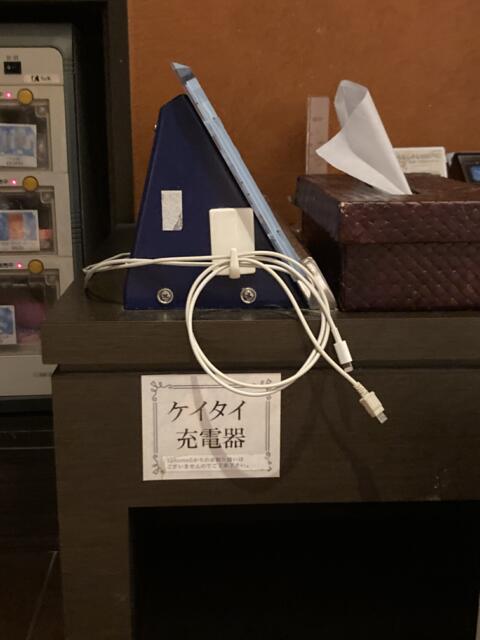 オリオン(立川市/ラブホテル)の写真『306号室　充電器』by ワーカー