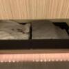 HOTEL ROY（ロイ）(横浜市南区/ラブホテル)の写真『501号室　洗面台下タオルバスケット』by 東京都