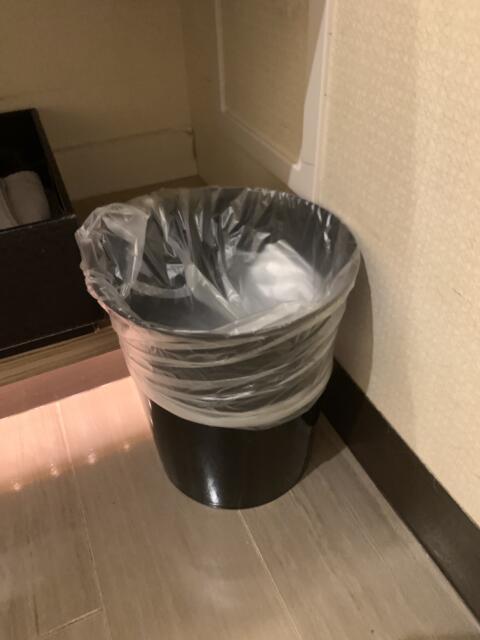 HOTEL ROY（ロイ）(横浜市南区/ラブホテル)の写真『501号室　洗面台下ゴミ箱』by 東京都
