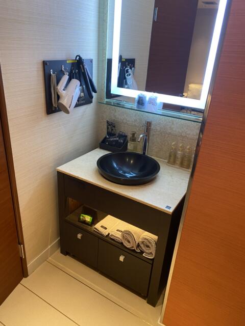 HOTEL Villa Senmei(ヴィラ センメイ）(大田区/ラブホテル)の写真『308号室　洗面台』by たんげ8008
