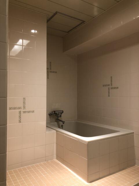 ホテル グッドワン(さいたま市大宮区/ラブホテル)の写真『411号室　浴室（１）』by サトナカ