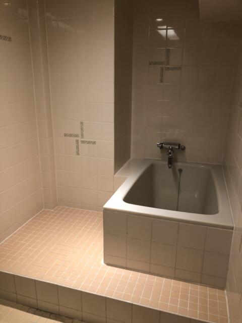 ホテル グッドワン(さいたま市大宮区/ラブホテル)の写真『411号室　浴室（２）』by サトナカ