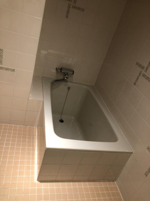 ホテル グッドワン(さいたま市大宮区/ラブホテル)の写真『411号室　浴室（５）』by サトナカ