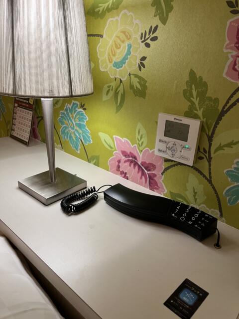 ホテル ウォーターゲート浜松(浜松市/ラブホテル)の写真『311号室　内線電話＆エアコンスイッチ』by ま〜も〜る〜