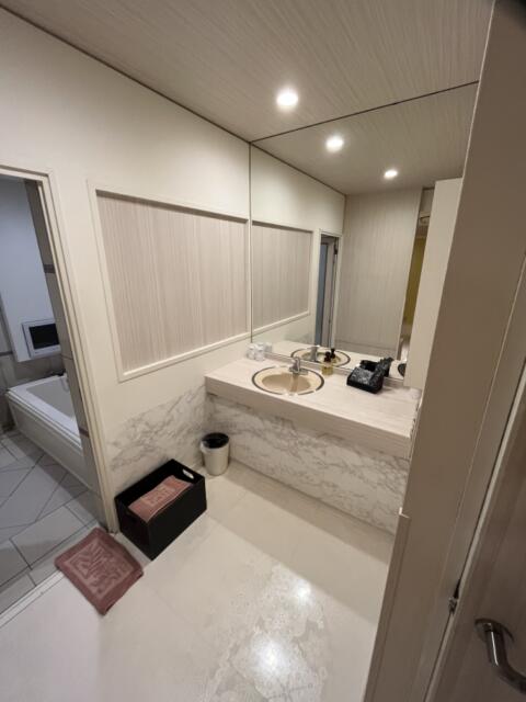 ホテル ウォーターゲート浜松(浜松市/ラブホテル)の写真『311号室　洗面所』by ま〜も〜る〜