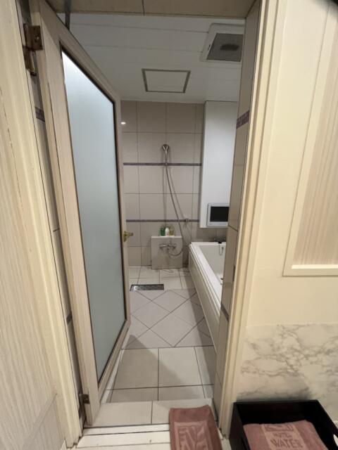 ホテル ウォーターゲート浜松(浜松市/ラブホテル)の写真『311号室　浴室』by ま〜も〜る〜