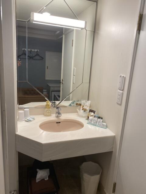HOTEL Bless（ブレス)(新宿区/ラブホテル)の写真『202号室　洗面台』by たんげ8008