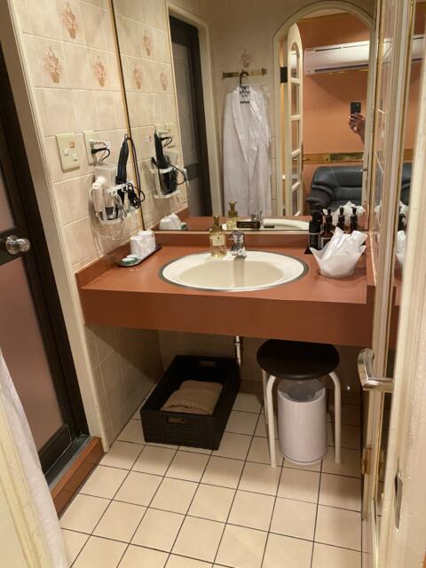 ホテルSAVOY(台東区/ラブホテル)の写真『304号室　洗面台』by たんげ8008