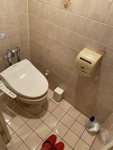 ホテルSAVOY(台東区/ラブホテル)の写真『304号室　トイレ』by たんげ8008