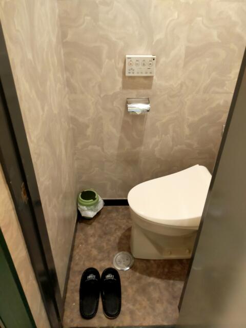 ホテル・アイ(長野市/ラブホテル)の写真『１０２号室、トイレ』by kitami
