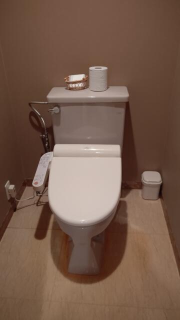 HOTEL LUMIERE（ルミエール）(渋谷区/ラブホテル)の写真『306号室、トイレ』by Sparkle