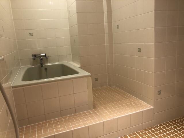 ホテル グッドワン(さいたま市大宮区/ラブホテル)の写真『407号室 浴室（２）』by サトナカ