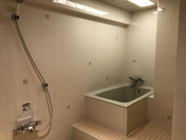 ホテル グッドワン(さいたま市大宮区/ラブホテル)の写真『407号室 浴室（１）』by サトナカ