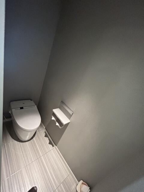 RAMSES Classic(豊島区/ラブホテル)の写真『301号室トイレ』by 無法松