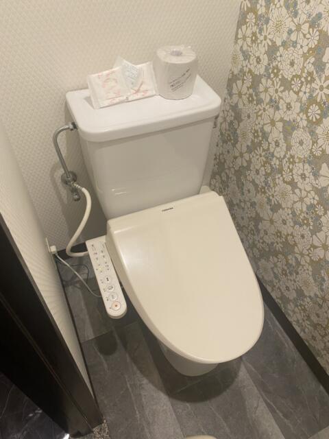 HOTEL Diana (ダイアナ)(台東区/ラブホテル)の写真『333号室(トイレ)』by こねほ