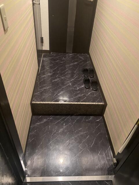 HOTEL Diana (ダイアナ)(台東区/ラブホテル)の写真『333号室(玄関から)』by こねほ