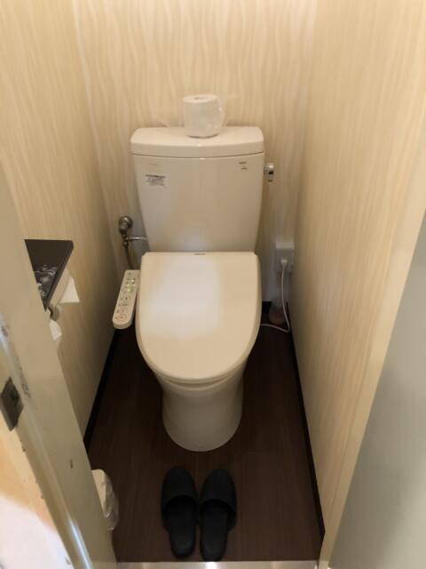 HOTEL アムール(台東区/ラブホテル)の写真『202号室　トイレ』by みこすりはん